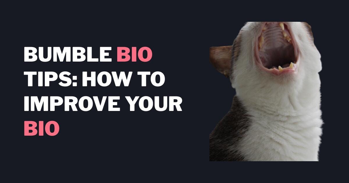 Bumble Biovinkkejä: Bio: Miten parantaa Bio