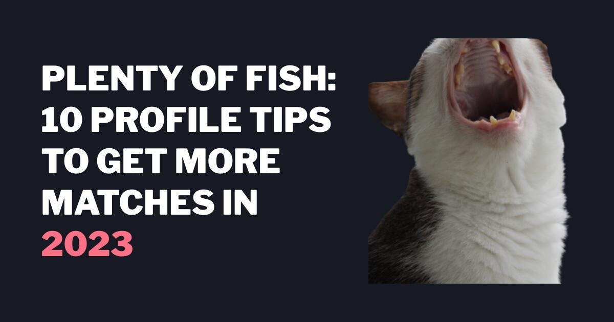 Plenty of Fish: 10 Profile Tips to Get More Matches in 2023